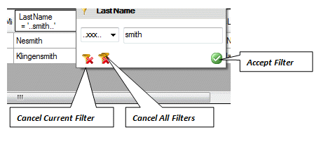 image\DataGridFiltering.gif